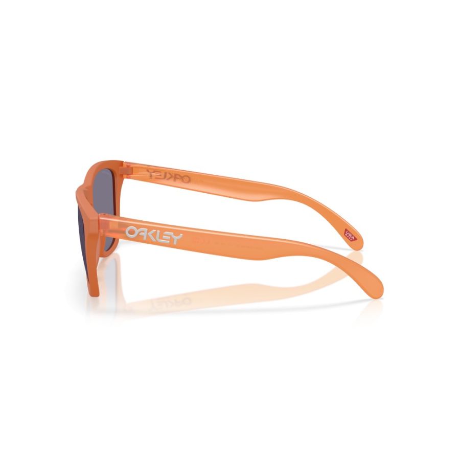 Oakley Frogskins OO9013 9013M1