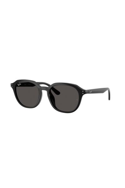 Ray-Ban RB4459D 901/87